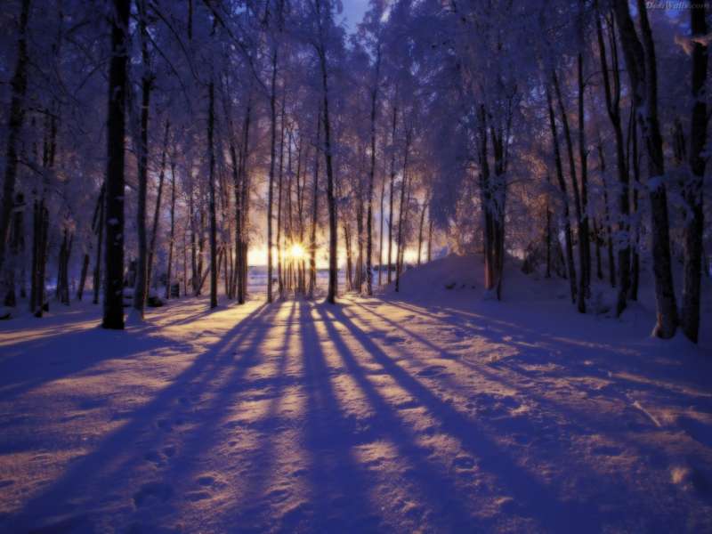 2 Winter Nature Wallpaper