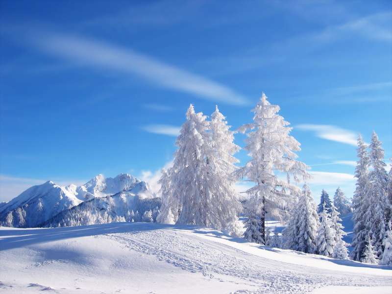 2 Winter Nature Wallpaper