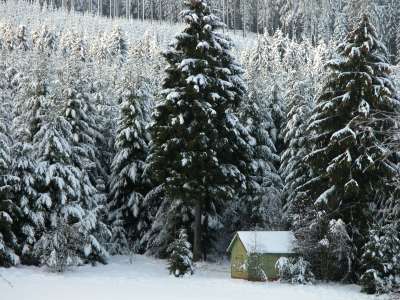 Winter And Snow Scenes