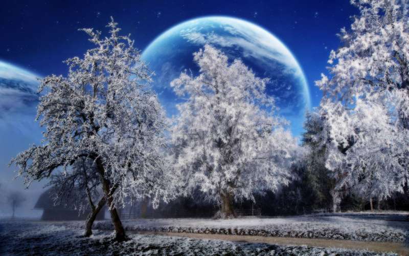 2 Winter Nature Wallpaper