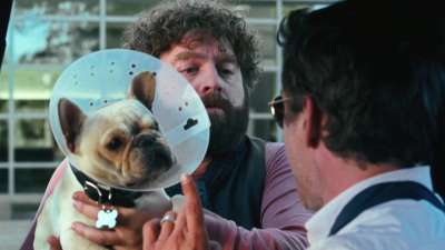 Due Date