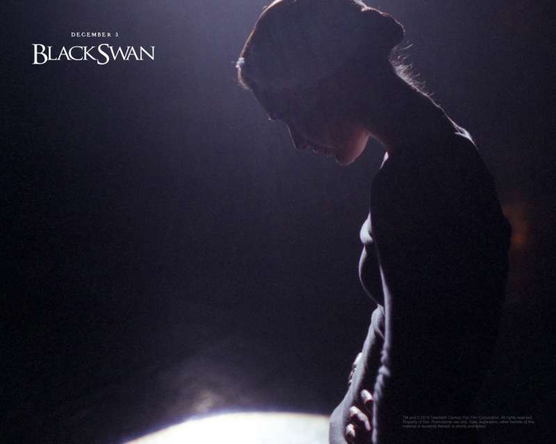 1280x1024 BlackSwan 3 Wallpaper