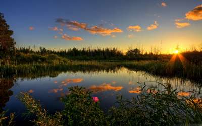 Nature And Summer Time