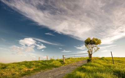 Nature And Summer Time