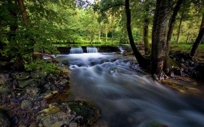 Nature And Summer Time Wallpaper