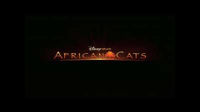 African Cats