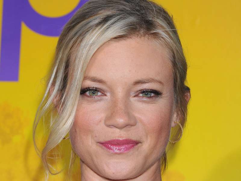 Amy Smart The Help Premiere Wallpaper