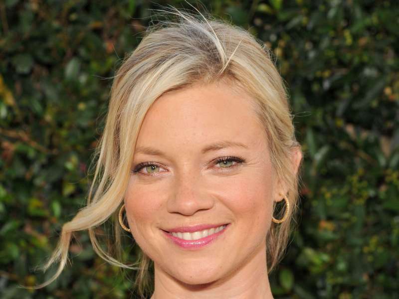 Amy Smart The Help Premiere Wallpaper