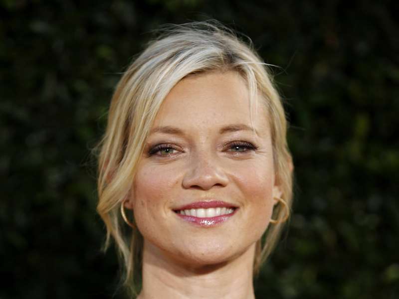 Amy Smart The Help Premiere Wallpaper