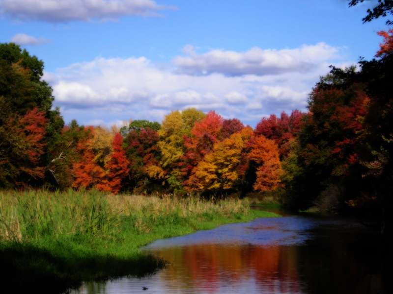 Autumn Time In Nature Wallpaper