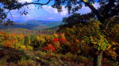 Autumn Time In Nature