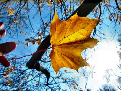 Autumn Time In Nature