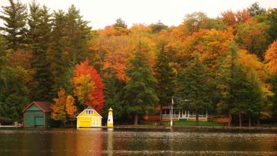 Autumn Time In Nature