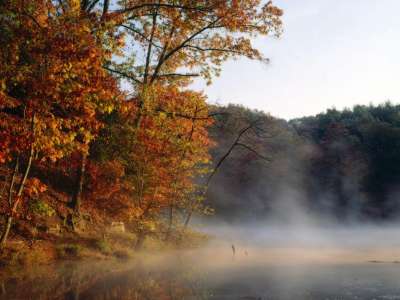 Autumn Time In Nature