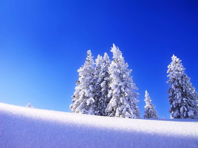 Winter Nature Wallpaper