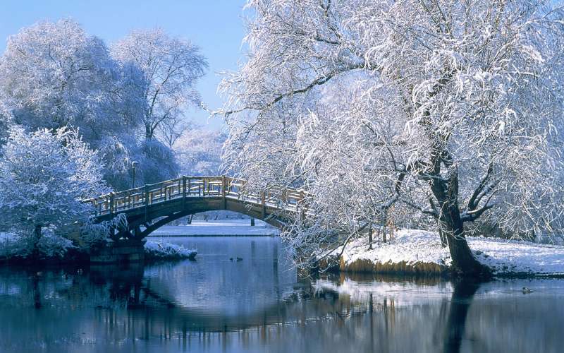 Winter Nature Wallpaper