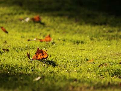 Autumn Time In Nature