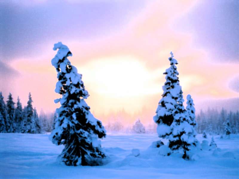 Winter Nature Wallpaper