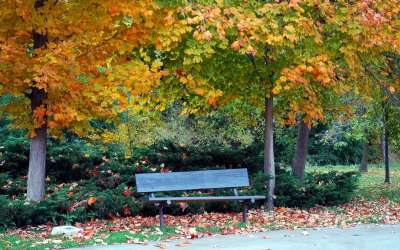 Autumn Time In Nature