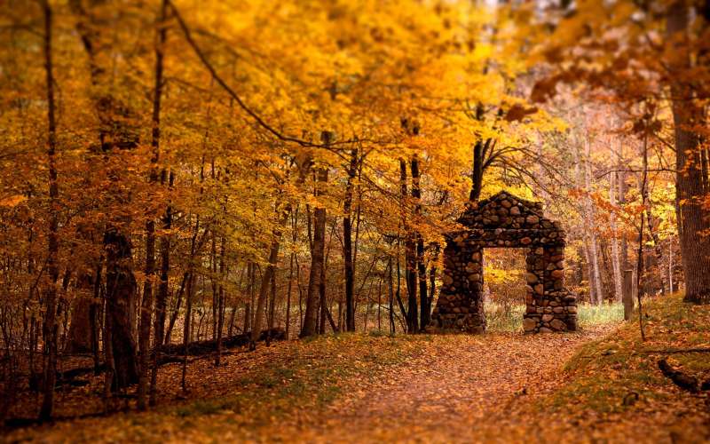 Autumn Time In Nature Wallpaper