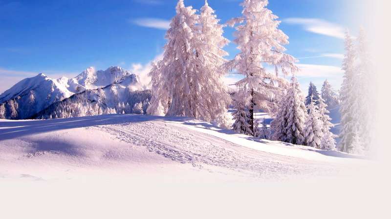 Winter Nature Wallpaper