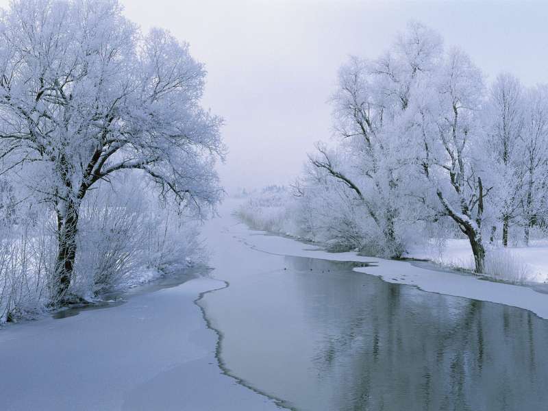 Winter Nature Wallpaper