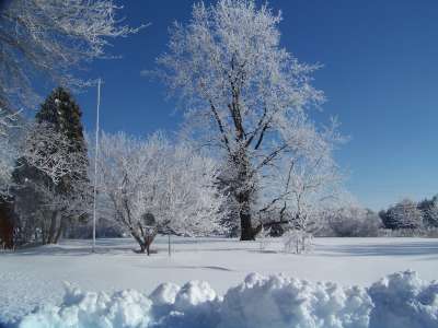 Winter Nature