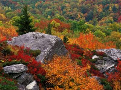 Autumn Time In Nature