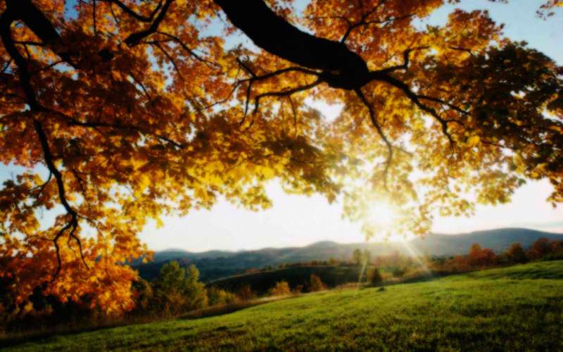 Autumn Time In Nature Wallpaper