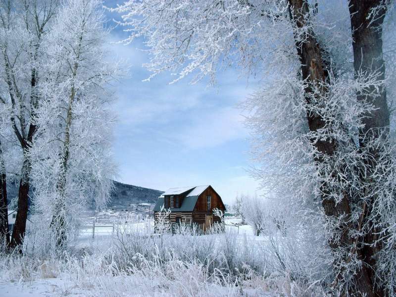 Winter Nature Wallpaper