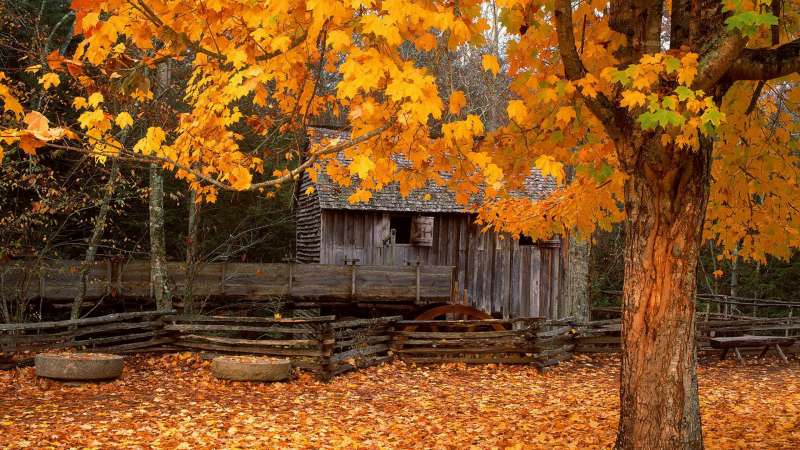 Autumn Time In Nature Wallpaper