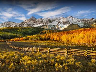 Autumn Time In Nature