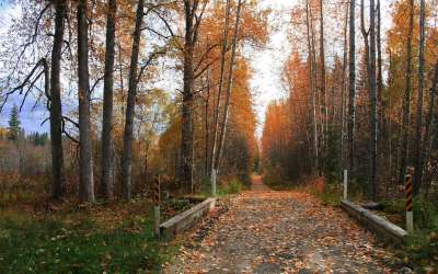 Autumn Time In Nature