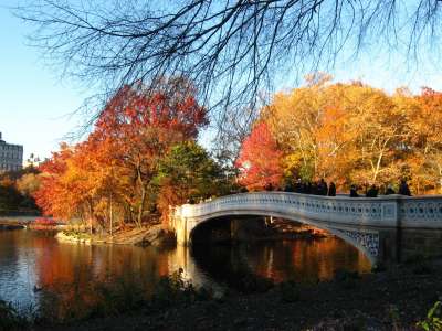 Autumn Time In Nature