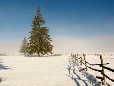 Snow And Winter