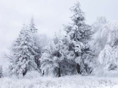 Snow And Winter