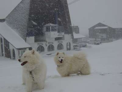 Snow And Winter