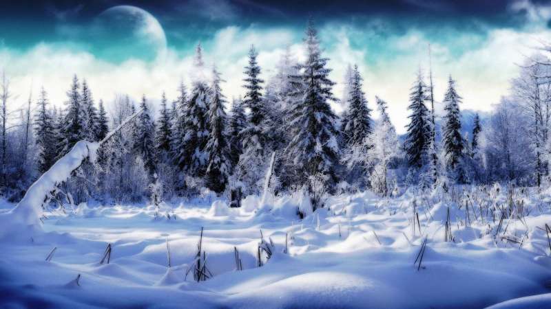 Snow And Winter Wallpaper