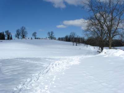 Snow And Winter