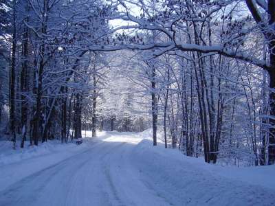 Snow And Winter