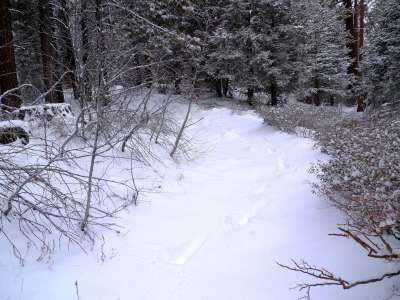 Snow And Winter