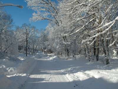 Snow And Winter