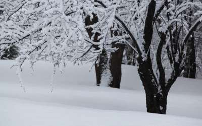 Snow And Winter