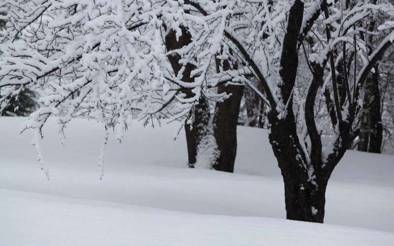 Snow And Winter Wallpaper