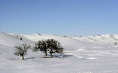 Snow And Winter