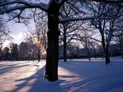 Winter And Snow Scenes