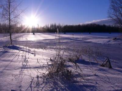 Winter And Snow Scenes