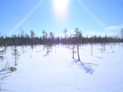 Winter And Snow Scenes