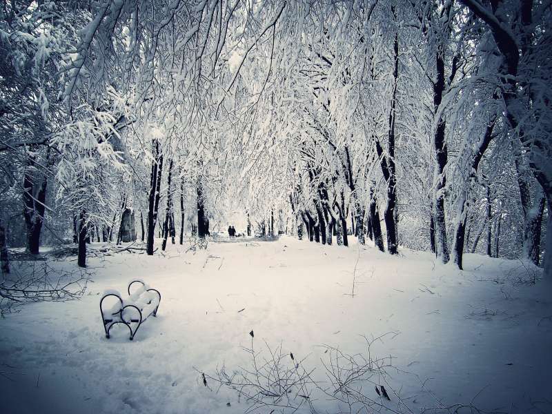 Winter And Snow Scenes Wallpaper