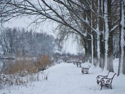 Winter And Snow Scenes